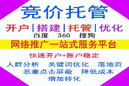 案例研究：SEM优化助力企业品牌建设